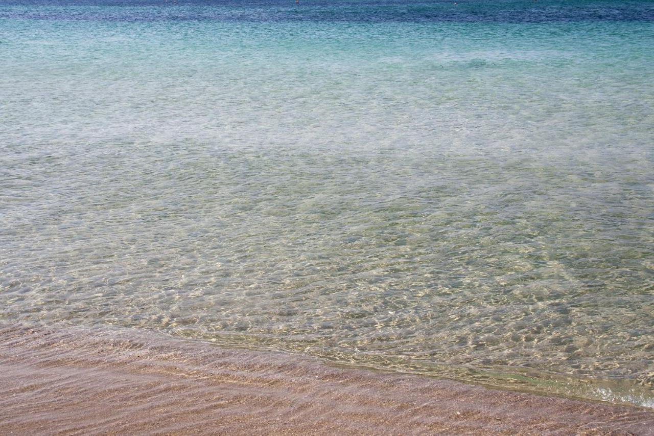 Appartamento Climatizzato A 30 M Dalla Spiaggia Con Vista Mare Torre Mozza Esterno foto